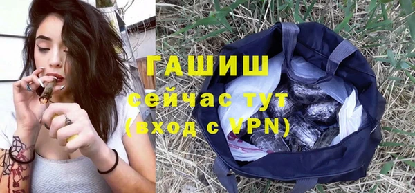 таблы Бородино