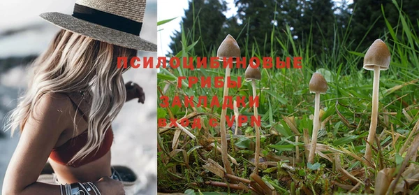 ПСИЛОЦИБИНОВЫЕ ГРИБЫ Богородск