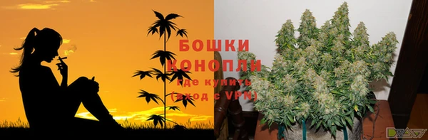 каннабис Богданович