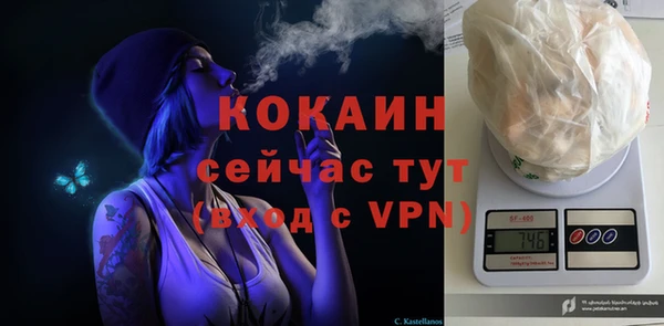 таблы Бородино